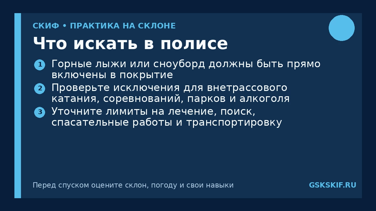 Что искать в полисе — инфографика СКИФ